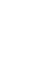 huliswood_logo_valkoinen